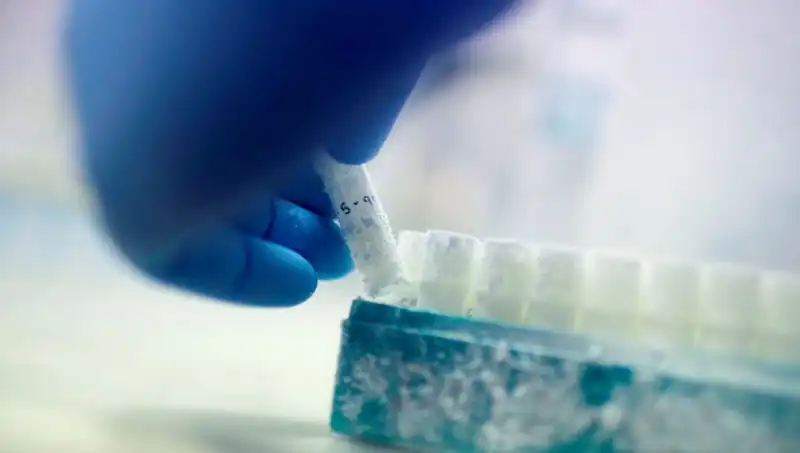 Tıbbi Felaket: 85 Sperm Donörü ile Binlerce Çocuk Dünyaya Geldi