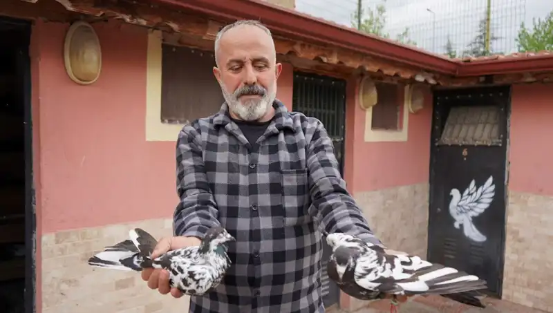 42 Yıllık Hobisi, Profesyonel Tesise Dönüştü: İl Dışından Yoğun İlgi Var