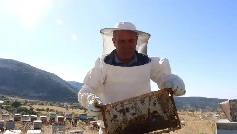 Mobilya Sektörünü Bırakıp Ürün Yapan Girişimci, Bu Yıl 2 Ton Elde Etti!