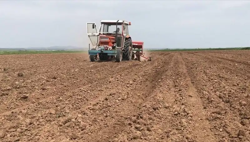 Son 35 Yılda Mart Ayının En Kurak Günleri: Yağış Miktarı Çarpıcı Oranda Düştü