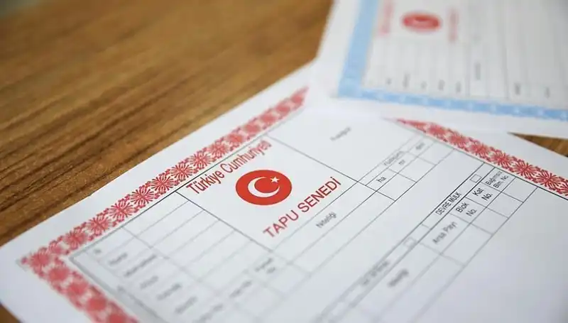 100 Milyonluk Dolandırıcılık: Hisseli Tapu Korkusu Hayatlarımızı Tehdit Ediyor