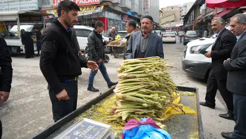 Dağlık Alandan Toplanan Şekerin Sağlık Üzerindeki Etkileri