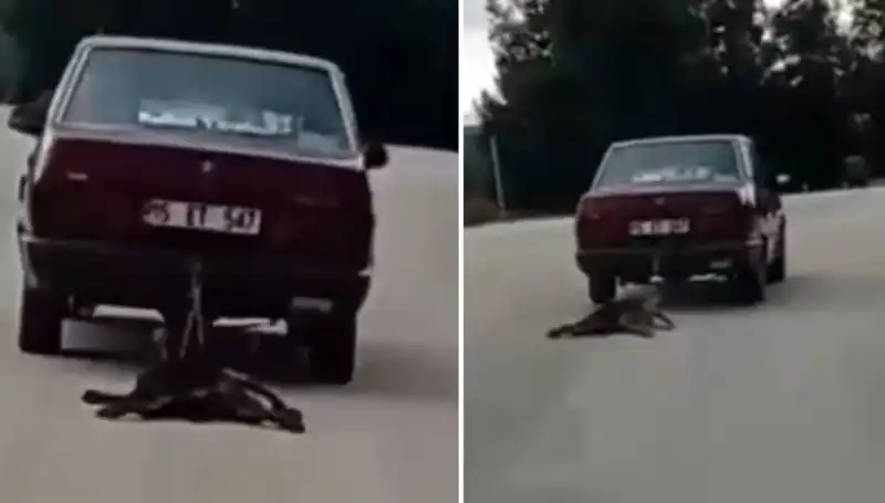 Dikkat Çeken Olay: Otomobilin Arkasındaki Köpeği Sürükleyen Şoke Edici Görüntüler