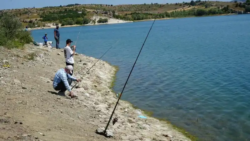 Kafes Patlaması: Baraja Koşan Kalabalığın Nedenleri ve Sonuçları