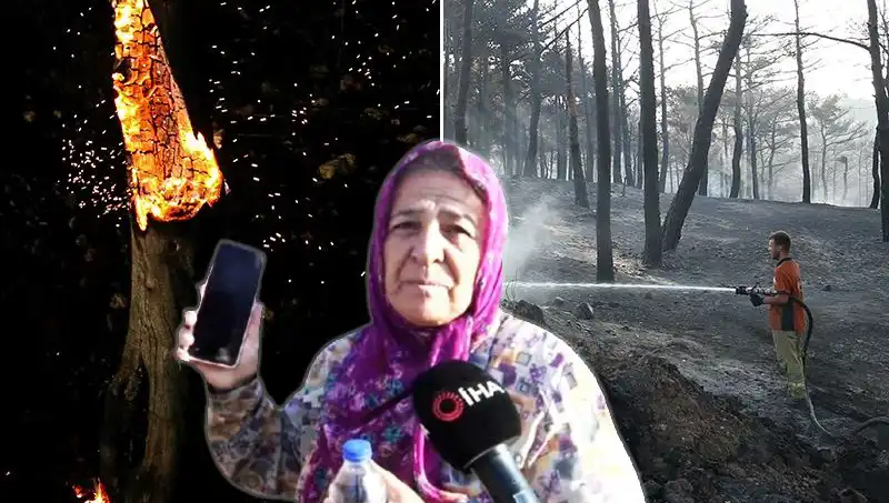 Çanakkale'deki Orman Yangınları Kontrol Altına Alındı: Kayıpların Ardındaki Gizem