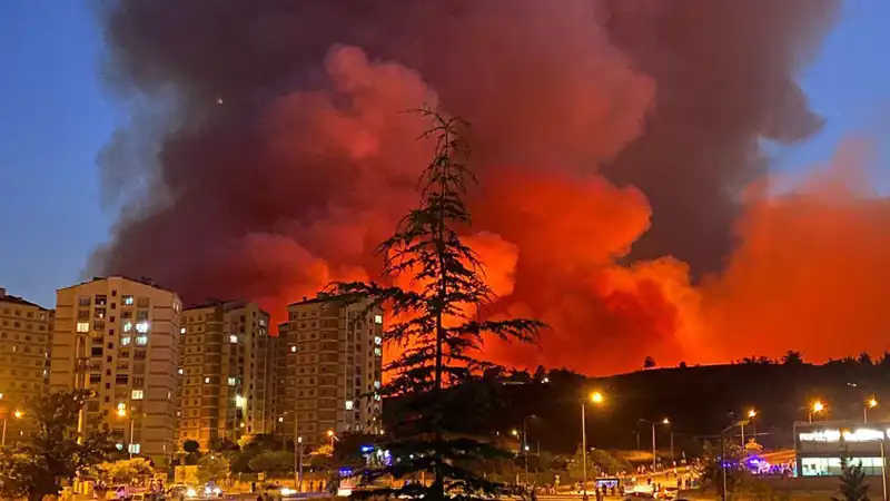 Bursa’da Yangın Alarmı: Şehirdeki Durum Endişe Verici