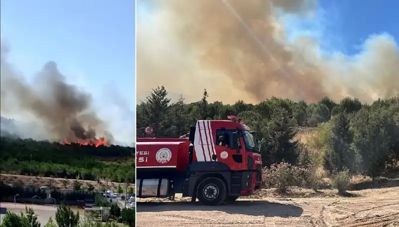 Gebze'de Orman Yangını: Ekipler Seferber Oldu, Yangının Sebepleri Araştırılıyor