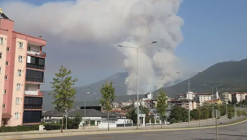 Denizli'de Orman Yangını Çıktı: Bir Şüpheli Gözaltına Alındı