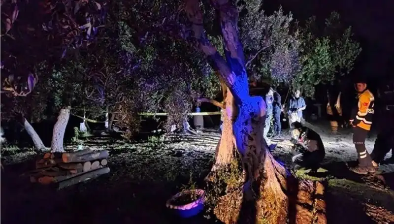 Çiftlikteki Baltalı Vahşet Olayı Sonrasında Sıcak Gelişmeler!