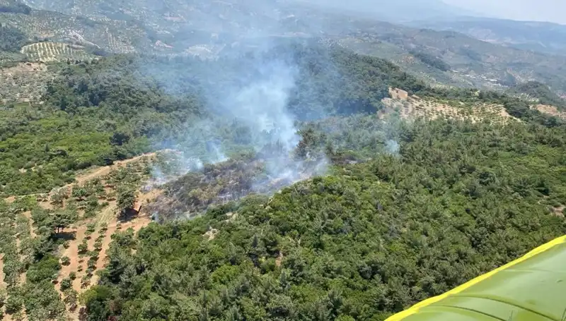 Aydın’da Yürekleri Saran Orman Yangını Kontrol Altına Alındı