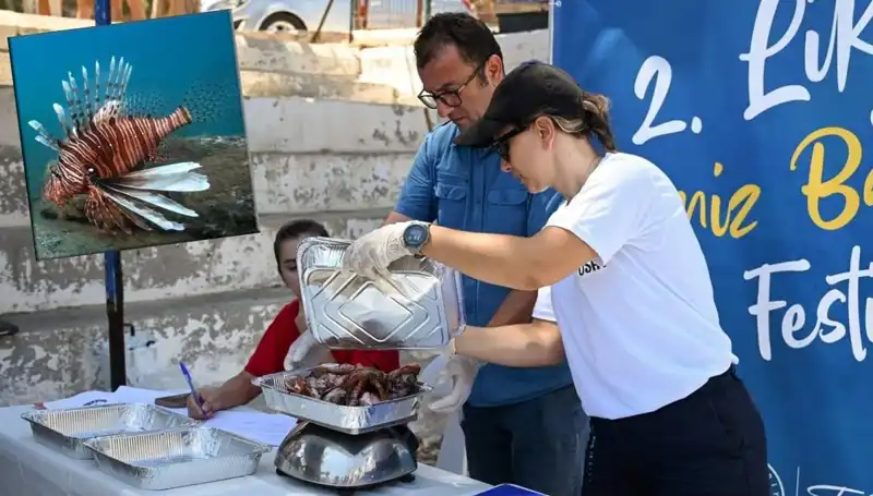 Antalya'da İstilacı Aslan Balığı Avlama Yarışması: Denizlerdeki Tehditle Mücadele İçin Bir Araya Geldiler