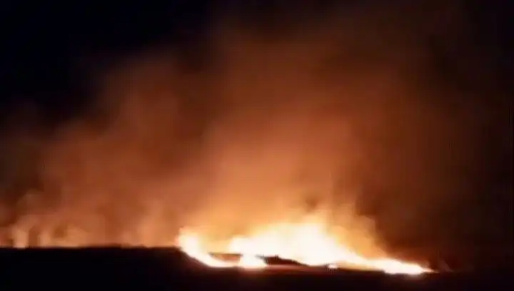 Tekirdağ'da 20 Dekar Buğday Tarlası Kül Oldu: Yangın Alarm Verdi