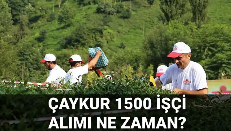 Çaykur İşçi Alımı Başvuru Tarihleri ve Süreci Hakkında Merak Edilenler